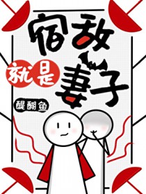 宿敌就是妻子